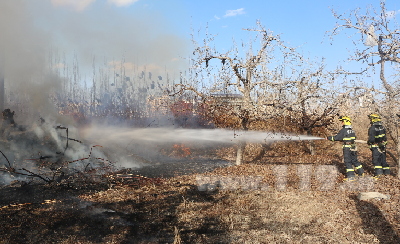 圖為阿克蘇地區(qū)溫宿縣一果園樹木發(fā)生火災 圖為阿克蘇地區(qū)溫宿縣一果園樹木發(fā)生火災